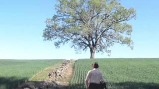 "So Was Red/End Title" from The Shawshank Redemption (1994) by Thomas Newman - 800% Slower