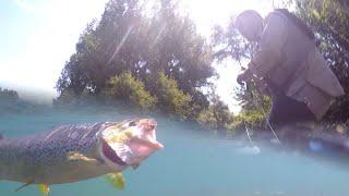 Pecanje pastrmke na reci Buni - Mušičarenje mekousne pastrmke - BiH | Fly fishing trout