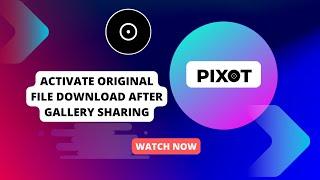 PIXOT | Activate Original File Download After Gallery Sharing |