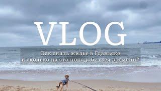 VLOG. Как снять жилье в Гданьске? Сколько на это понадобиться времени?