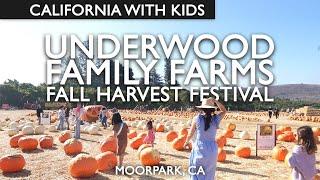 Underwood Family Farms Pumpkin Patch 2024