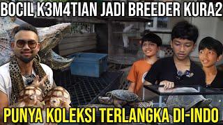 BOCIL K3M4TIAN JADI BREEDER KURA2 PUNYA KOLEKSI TERLANGKA DI INDO!! NINO TURTLE KING #AudreyA