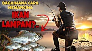 How to Fish Lampam Fish? | Lampam Fish Fishing Technique.