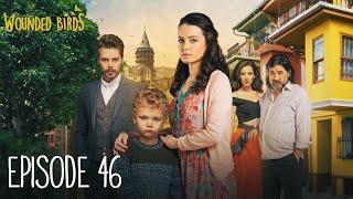 Wounded Birds - Episode 46 - [Multi Lang. Subtitles] Turkish Drama | Yaralı Kuşlar 2019