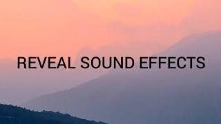 REVEAL SOUND EFFECTS 2020 #RevealSoundeffects