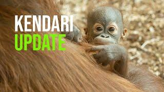 Checking in with Baby Kendari at Six Months