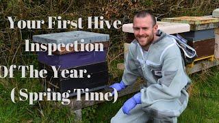 How To Do Your First Hive Inspection Of The Year. Beekeeping Management In Spring.