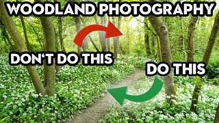 The DOs and DON'Ts of WOODLAND PHOTOGRAPHY