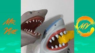 Shark Puppet Funny Instagram Videos - NEW @SharkPuppet  Vines 2021