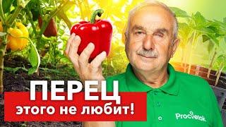 НЕ ДЕЛАЙТЕ ЭТИ ОШИБКИ ПРИ ПОСЕВЕ ПЕРЦА! Агроном раскрыл 7 ошибок всех начинающих огородников