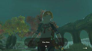 Is this a War Crime against the Yiga?? Zelda TotK