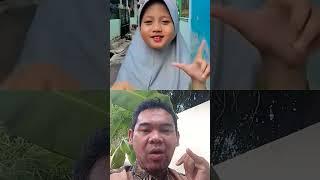 Ikutan yang viral #funny #aqilla #lucu #cute #dance