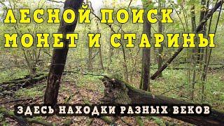 Лесной поиск монет и старины. Найденное место в лесу снова порадовало находками!