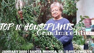 Top 10 houseplants: Grandma edition | January 2020 | ILOVEJEWELYN