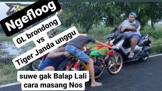 TIGER 2000 JANDA UNGGU dan AKBAR NGIDAM SEXTING #brondongproyek #tintonwijaya