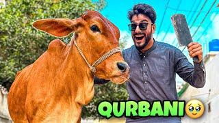 ALHAMDULILLAH BASANTI KI QURBANI KARLI | BAKRA EID