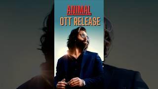 Animal OTT Release Date [Information & Facts] #shorts