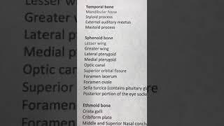 Sphenoid Bone Anatomy