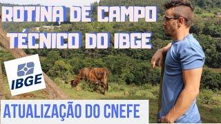 Rotina de Campo IBGE - Técnico em Informações Geográficas e Estatísticas (Atualização do CNEFE)