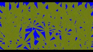 Weed Leaf Transition Greenscreen