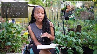 An Easy Sunday Evening In The Garden | First Summer Plants Are In | Urban Garden Planting