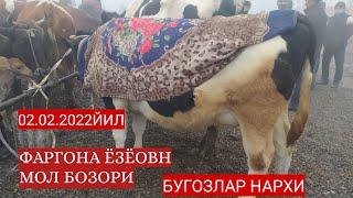 ФАРГОНА ЁЗЁОВН МОЛ БОЗОРИ ЙАНГИ НАРХЛАРИ БУГОЗЛАР НАРХИ БУГУН БОЗОР АВЖИДА