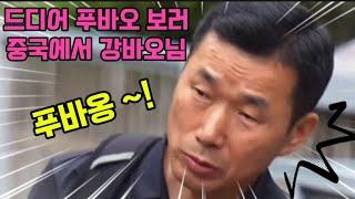 드디어 강바오님 께서 푸바오 보러 중국에 왔어요