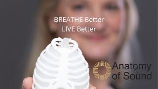 MY BREATHING BUDDY 3-D Lung, RIbcage, Diaphragm Simulator