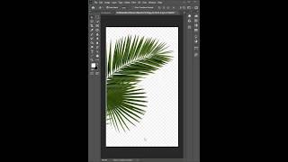 Remove Fake PNG Background - Short Photoshop tutorial #photoshop #edit #ytshorts #Shorts
