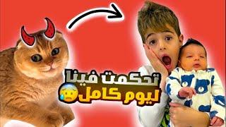 القطة جولدي اتحكمت بخلودة والبيبي ٢٤ ساعة 