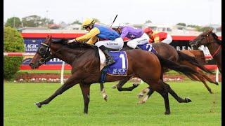 Sunshine Coast - 2024 Winx Guineas Day Horse Racing Tips! *NEW* ALGORITHM-BASED