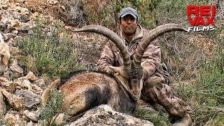 SPANISH IBEX STALKING WITH MATT WARD - www.reivaxfilms.com