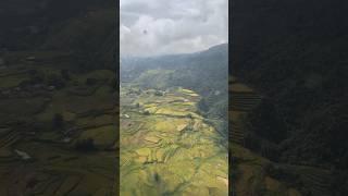 Padi field in sapa Vietnam from sky train