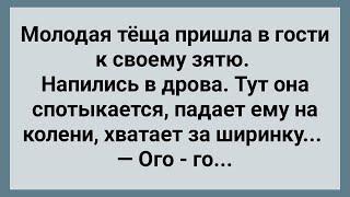 Теща Схватила Зятя за Ширинку! Сборник Свежих Анекдотов! Юмор!