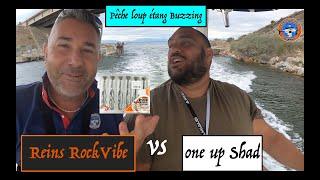 Pêche Loup / Bar Buzzing  Shad Reins RockVibe vs Sawamura One Up