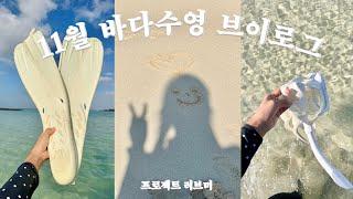 Sea swimming in November | Living alone in Jeju | Hotteok recipe