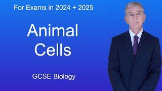GCSE Biology Revision "Animal Cells"