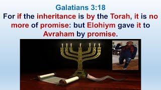 The Covenant Promise And Inheritance Is For Avraham And His Seed The Two Kingdoms Of Yashar'el