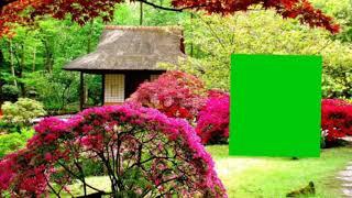 Garden Green screen effects video