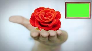 GREEN SCREEN HAND ROSE  2018 - FREE-HD