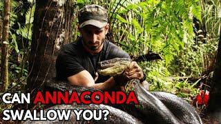 What If You Swallowed By an Anaconda?