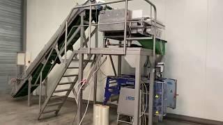 Newtec 9 heads weigher with Jasa 250, perfect working weighing and packing line.