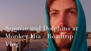 Sunrise and dolphins at Monkey Mia - Roadtrip Vlog