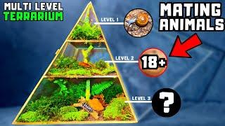 I made a multi level terrarium with 3 different animal species
