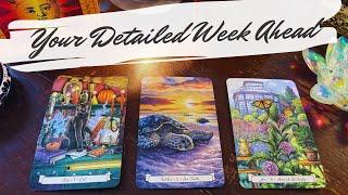 Your detailed week ahead  what will happen? pick a card weekly