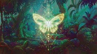 THE BUTTERFLY EFFECT ⁂ Elevate your Vibration ⁂ Positive Aura Cleanse ⁂ 432Hz Music
