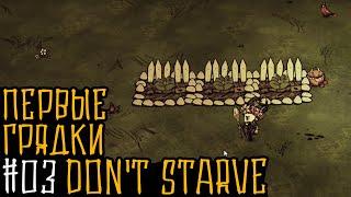 Don't Starve Together: #03 Первые грядки