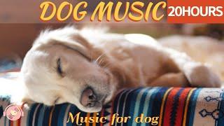 20 HOURS of Deep Sleep Dog Music & Separation anxietyDog Relaxation Musicstressed doghealingmate