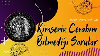 Kimsenin Cevabını Bilmediği Soru