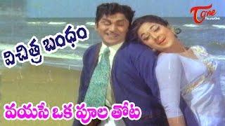 Vichitra Bandham Movie Songs | Vayase Oka Poolathota Video Song | ANR, Vanisri